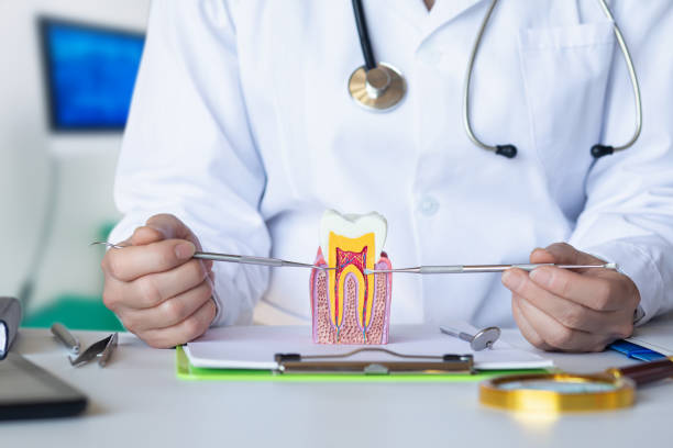 Best Root Canal Emergency Dentist  in Kaser, NY